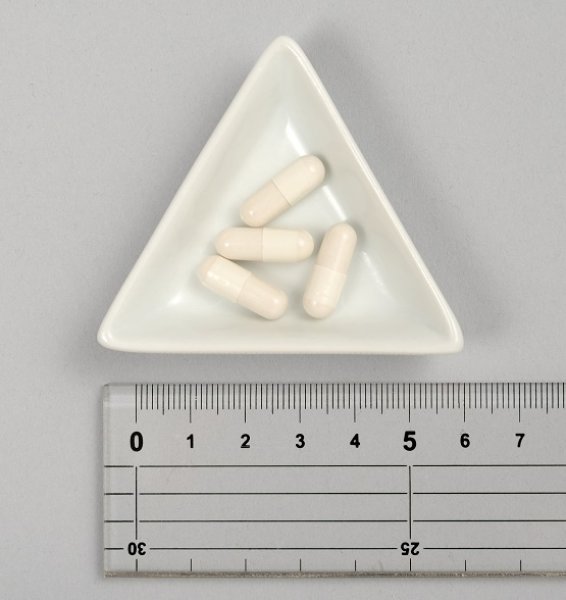 画像2: メモリーキープEXII 10日分 (2)